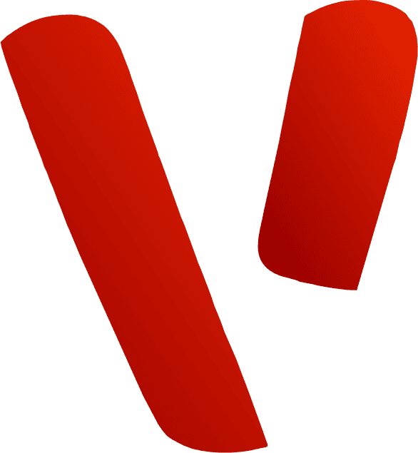Viitpay Logo